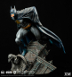 Preview: XM Studios Batman 1972