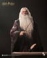 Preview: INART Collectibles Harry Potter and the Chamber of Secrets - Albus Dumbledore (Deluxe) 1/6 Collectible Figure