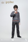 Preview: INART Collectibles Harry Potter and the Philosopher’s Stone - Harry Potter (Standard) 1/6 Collectible Figure