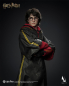 Preview: INART Collectibles Harry Potter and the Goblet of Fire - Harry Potter 1/6 Collectible Figure