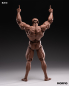 Preview: INARTOne12 MORFIG - Blank Male Body 1/12 Action Figure