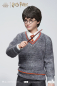 Preview: INART Collectibles Harry Potter and the Philosopher’s Stone - Harry Potter (Standard) 1/6 Collectible Figure
