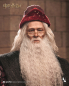 Preview: INART Collectibles Harry Potter and the Chamber of Secrets - Albus Dumbledore (Deluxe) 1/6 Collectible Figure