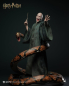 Preview: INART Collectibles Harry Potter and the Deathly Hallows - Voldemort (Deluxe) 1/6 Collectible Figure