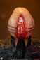 Preview: Premium Collectibles Studio Hellraiser Chatterer 1/3 Scale Statue