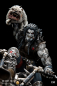 Preview: XM Studios Lobo