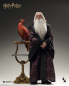 Preview: INART Collectibles Harry Potter and the Chamber of Secrets - Albus Dumbledore (Premium) 1/6 Collectible Figure