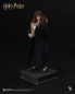 Preview: INART Collectibles Harry Potter and the Philosopher’s Stone - Hermione Granger 1/6 Collectible Figure