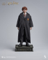Preview: INART Collectibles Harry Potter and the Philosophers Stone - Ron Weasley (Standard) 1/6 Collectible Figure