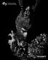 Preview: INART Action Black Myth: Wukong - Great Sage Armor Set 1/12 Action Figure