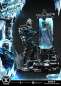 Preview: Prime 1 Studio Batman (Comics) Mr. Freeze Heart of Ice (DX Version) 1/3 Statue