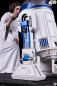 Preview: Premium Collectibles Princess Leia 1/3 Scale Statue