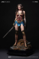 Preview: JND Studios Platinum - Wonder Woman of Justice League 1/6 HMS Statue