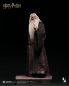 Preview: INART Collectibles Harry Potter and the Chamber of Secrets - Albus Dumbledore (Deluxe) 1/6 Collectible Figure
