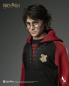 Preview: INART Collectibles Harry Potter and the Goblet of Fire - Harry Potter 1/6 Collectible Figure