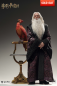 Preview: INART Collectibles Harry Potter and the Chamber of Secrets - Albus Dumbledore (Premium) 1/6 Collectible Figure