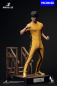 Preview: INART Collectibles Bruce Lee (Yellow Suit) 1/6 Collectible Figure