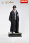 Preview: INART Collectibles Harry Potter and the Philosopher’s Stone - Harry Potter (Standard) 1/6 Collectible Figure