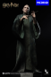 Preview: INARTHarryPotterVoldemortDH