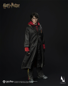 INART Collectibles Harry Potter and the Goblet of Fire - Harry Potter 1/6 Collectible Figure
