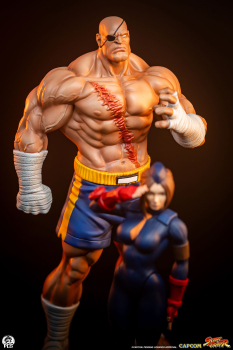 Premium Collectibles Studio Street Fighter - Street Jam Sagat & Juli 1/10 Statue