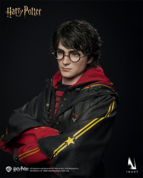 INART Collectibles Harry Potter and the Goblet of Fire - Harry Potter 1/6 Collectible Figure