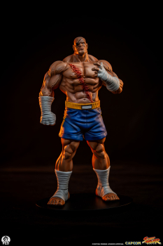 Premium Collectibles Studio Street Fighter - Street Jam Sagat & Juli 1/10 Statue