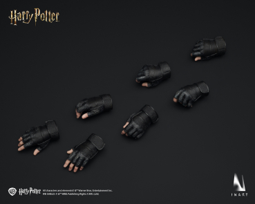 INART Collectibles Harry Potter and the Goblet of Fire - Harry Potter 1/6 Collectible Figure