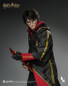 INART Collectibles Harry Potter and the Goblet of Fire - Harry Potter 1/6 Collectible Figure
