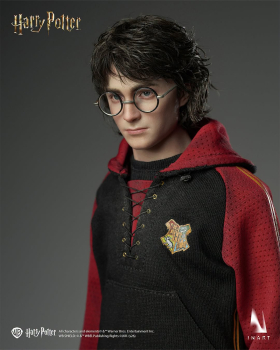 INART Collectibles Harry Potter and the Goblet of Fire - Harry Potter 1/6 Collectible Figure
