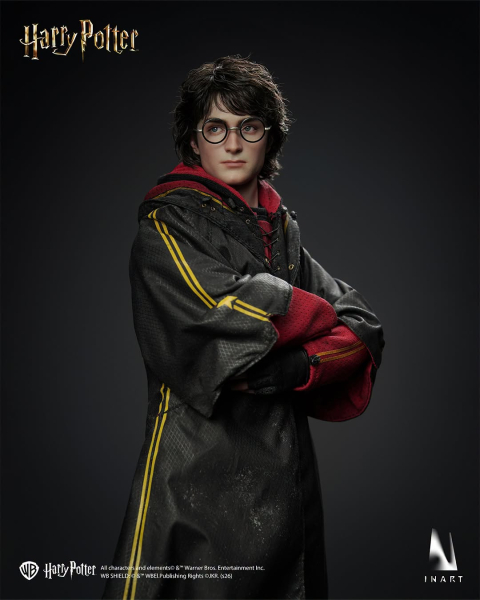 INART Collectibles Harry Potter and the Goblet of Fire - Harry Potter 1/6 Collectible Figure
