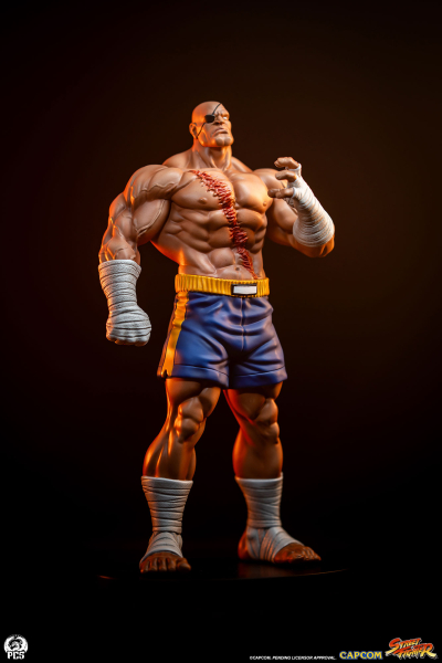 Premium Collectibles Studio Street Fighter - Street Jam Sagat & Juli 1/10 Statue