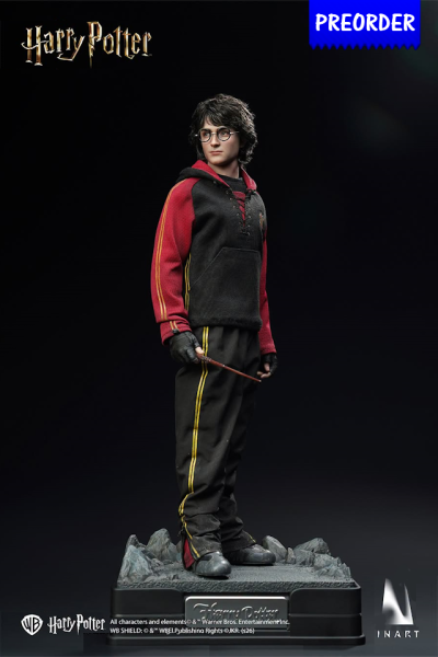 INART Collectibles Harry Potter and the Goblet of Fire - Harry Potter 1/6 Collectible Figure